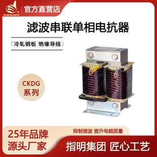 Indicate the Manufacturer Ckdg Single-Phase Filter Series Capacitor Reactor Aluminum Wire Copper Wire Reactance Rate 6% 7% 13%