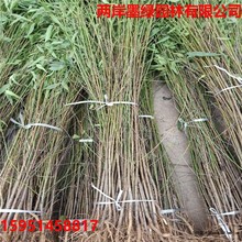 ë�����Ҙ䌍����ԭ���Ҙ���ľ��δ�޽��Ҙ�ռ������������󃞻�