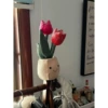 New version of tulip 23cm