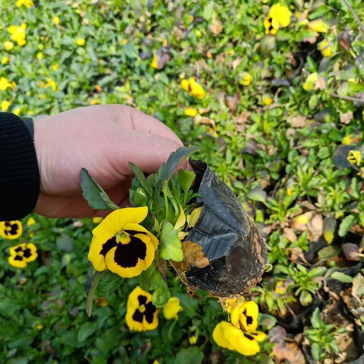 QQ图片20200807155852