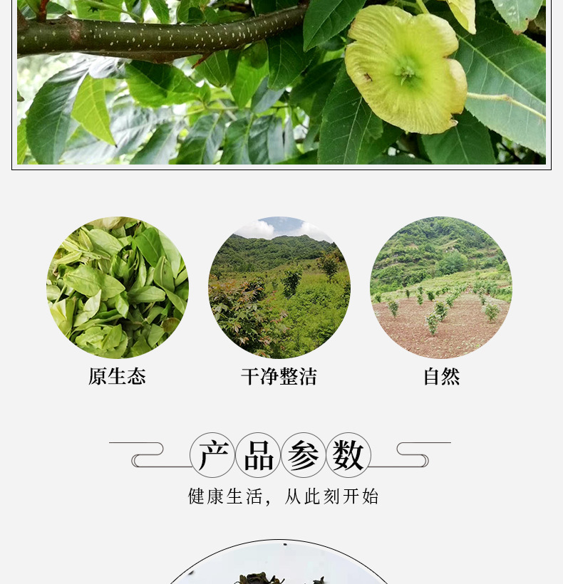 Guava Leaf Tea 番石榴叶 Fan Shi Liu Ye Dried Herbal Tea Leaves 500g for Daily Brew overview