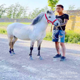 �����T�˰��_�R ���a���R���w �O���m���R�ăr�� ���R�Ўׂ�Ʒ�N