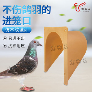 Jin Yuwang pigeon supplies pigeon European-style cage door pigeon cage entrance door cage jumping cage entrance device