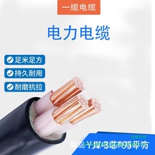 ����ϩ���^�������| YJV-0.6/1kV-3о*95ƽ�� ��ɫ��1�ף�