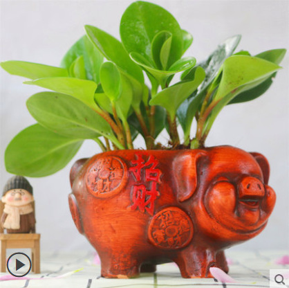 재스퍼 [행운의 돼지 세라믹 세면대]