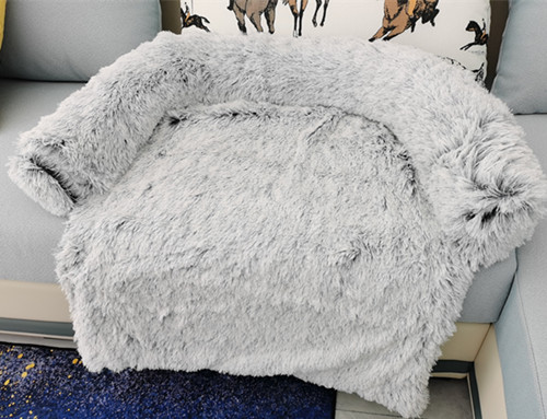 면도 먼지-탈착 불가 (필렛)