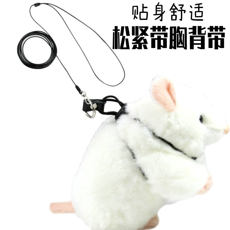 11886927375_1918405880