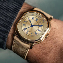 specht&sohnepEAα횤VH31CоA35mmйű