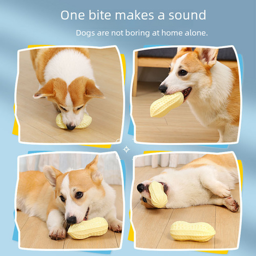 Pet dog vocal toy vinyl peanut relieve boredom artifact teeth grinding and bite-resistant Corgi Shiba Inu small dog toy