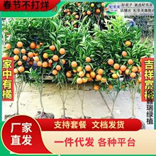 һ�����lɳ�ǽ������Ә����ĕ�����ɰ�ǽ��������޽ӟo�џo�˻�