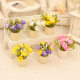 Cross-border Dollhouse new potted doll house miniature vase potted green plants outdoor scene small ornaments OB1