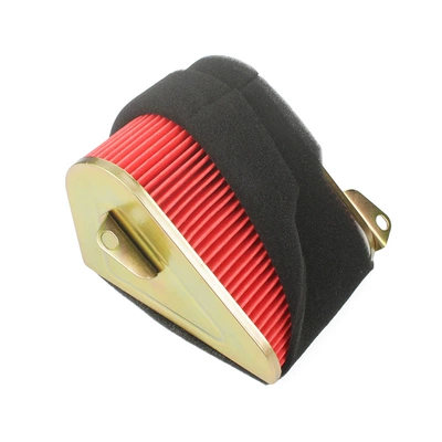 Air filter Motorcycle Yuexing HJ125T-9A-C-9D Air
