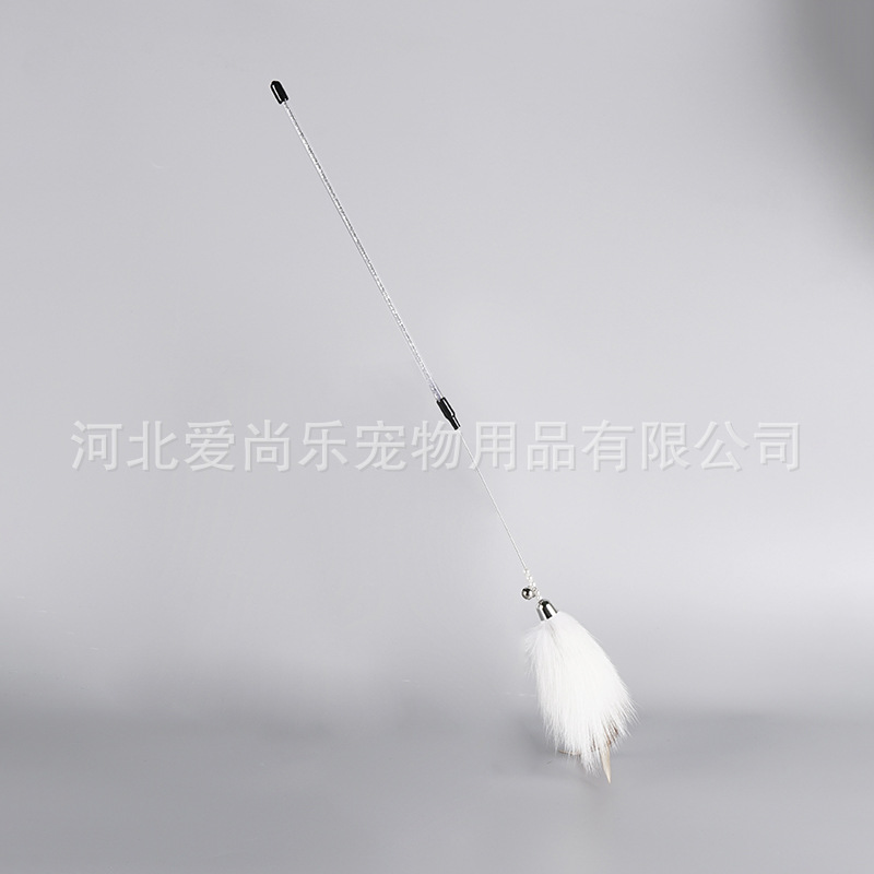 화이트