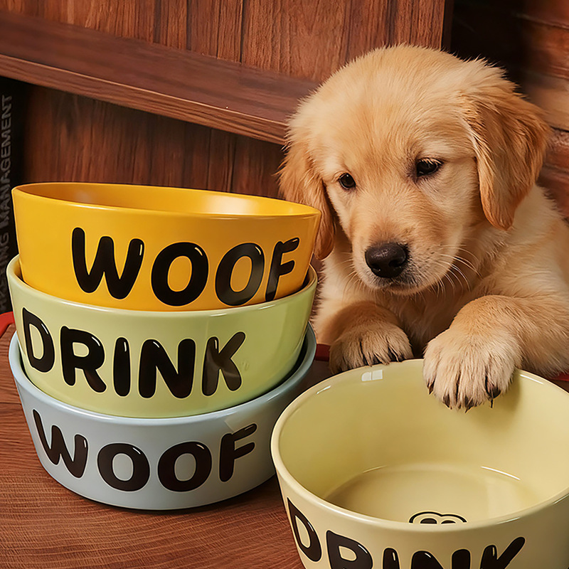 Large Diameter Slanted Pet Food and Water Bowl for Dogs and Cats, Anti-Slip, Prevents Chin Blackening, Anti-Spill Large Diameter Slanted Pet Food and Water Bowl for Dogs and Cats, Anti-Slip, Prevents Chin Blackening, Anti-Spill