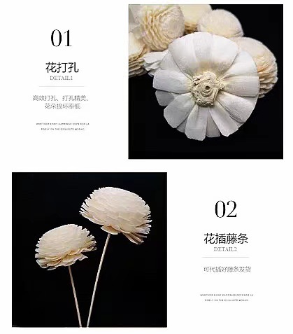 插杆