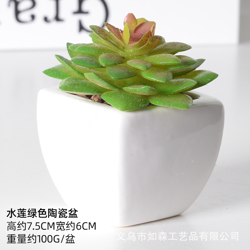 Simulación de cerámica bonsai de carne doméstica decoración de escritorio de oficina plantación verde maceta props de disparo maceta combinada artificial image 29