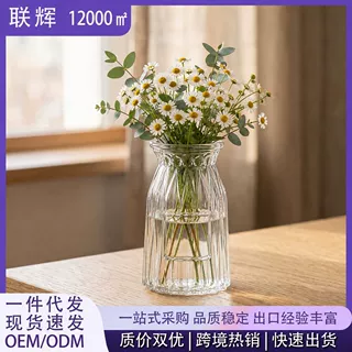 创意欧式简约玻璃花瓶客厅桌面水培插花高级感装饰花瓶现货批发