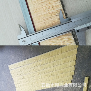 ����ɰ��C��� ī���焦��lˢ �S��ֱ�����I�X�Ͻ�����ëˢ�l