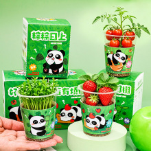 �ɐ���؈ֲ��Nֲä�ЌW�����滨������С�[����ͯ�Gֲ�N��С�YƷ