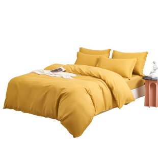 Thickened and Warm Wholesale Brushed Four-Piece Set Pure Color 100 Bed Bed Sheets Quilt Cover Winter Three-Piece Set Simple Naked Sleeping