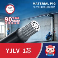 �S�ҵ͟��o�u����Ʒ�|���̌��������ľ���|YJLV1о�Xо�߉��z�b