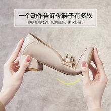 C-2 2022¿nmƽŮЬƤ昷ЬWtܛ׃ɴЬŮ