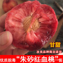 ޽ѩҘشSϱNˮҘ箔Y