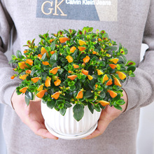 ~mԻܾGֲ҃ļ_̨kҴGֲ~