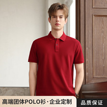 HS-6180���w�䳲����޼�ɫ�� POLO�����I�¿����T����ɫ�׻�ɫ