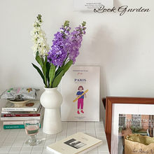 �ٻ��L�����w��ݽ�����֦�L֦���_�m��c�Ҿ��b�ˇ�廨��