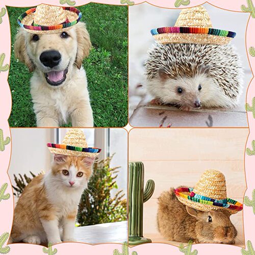 Amazon's best-selling 15cm mini wide-brimmed Mexican hat, Cinco de Mayo straw hat party decoration with rope suitable
