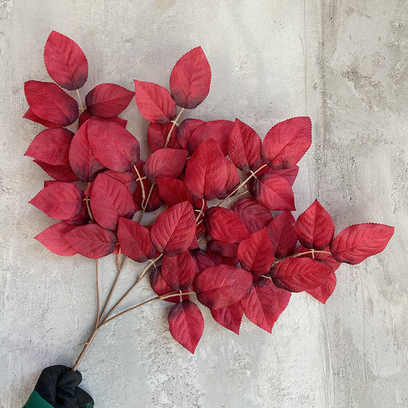 베이스 로즈 잎 - 레드