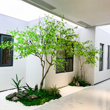 �����ձ����R��Gֲ�쾰���͙����Ӱ��g�b��R��ľ���Wins�L�٘�