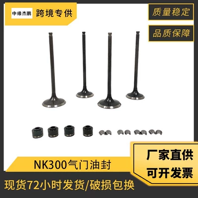 Motorcycle Valve Oil Seal Piston, piston ring, piston pin - cf300nk