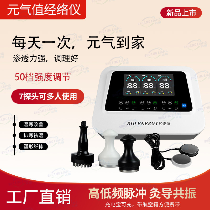 経絡を浚渫する常緑の中国活力価値、脊椎、肩、腰の健康と美容室専用モデル|undefined