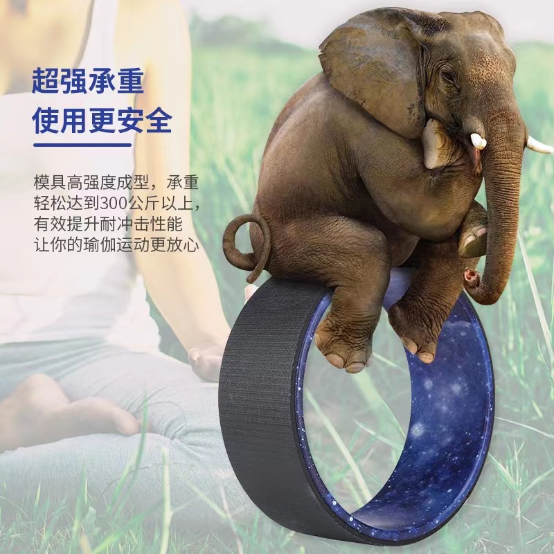 Yoga Wheel Back Opener Training Device for Backbends, Yoga Beginners, Pilates Ring Wheel Auxiliary Shaping Fitness, Lower Back Inversion