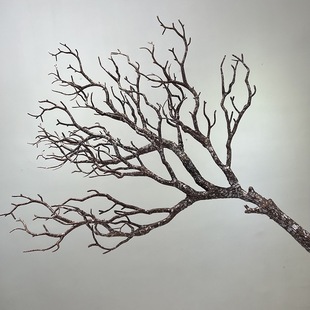 ���Ͽ�ȸ֦ɺ��֦ ����ɫ����ݘ�֦ �٘�֦Ӱ�ǔzӰ�b�ɺ����֦