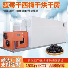 蓝莓干西梅干烘干房杏干黄桃干果脯烘干室干燥箱李子话梅烘干机