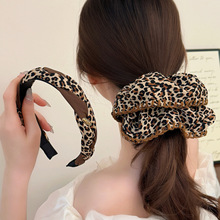 ����ǧ���L���y���c�lȦ����r���L���Rβ���l�^�K�߼��аl���^��