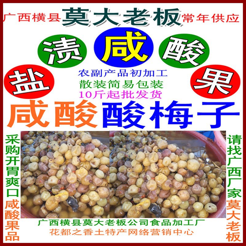 广西横州市特产腌制果品酸梅子 开胃下饭解渴 可用腌制酸黄瓜木瓜