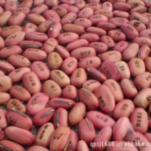 �tɫħ�����l�������׃��@�W������YƷ����֘ӿ�΢���^�����t��