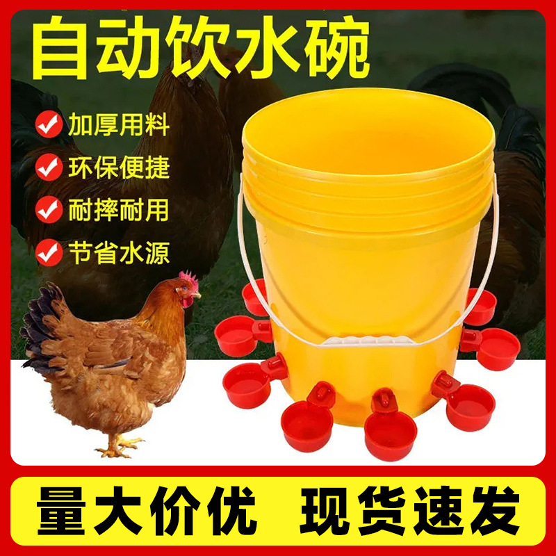 大号加厚家禽饮水器通用养殖新款喂鸡鸭鸽子自动饮水碗智能喂养器