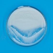 yAR;hԇWԇSֱN󃞻|100g