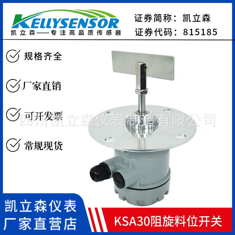 阻旋料位计 (4).jpeg