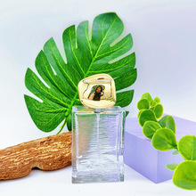 �S�ҬF؛ֱ�l50ml��ˮƿ ͸��ƿ�¿���|�L���μy������ƿ