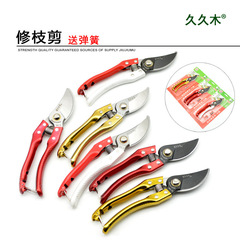 Songmu Zhilang with accessories garden pruning shears, green pruning tools, fruit picking, flower picking, fruit branch scissors, gardening fruit trees