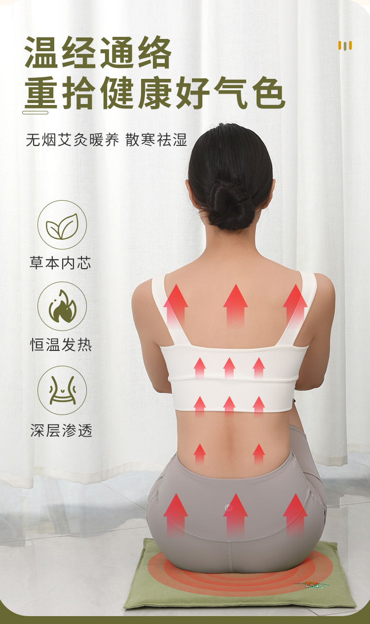 Electric Mugwort Seat Cushion Ai Rong Heated Herbal Pad 43x43cm 9-Level Temperature Control for Office and Home Warm Compress key features