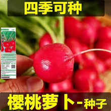 �ļ������}��ˮ���}�������ԼtƤ����С�}�������֭���r�߲��̨