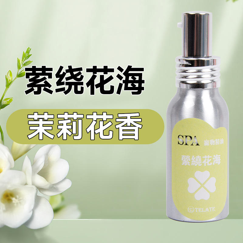시크릿 플라워 연회 50ml