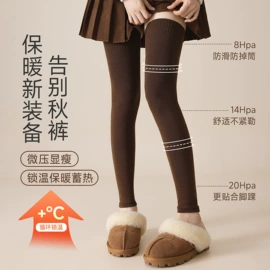 连裤袜打底袜;丝袜;运动休闲棉袜
